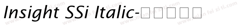 Insight SSi Italic字体转换